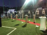 Kır Düğünü (1)